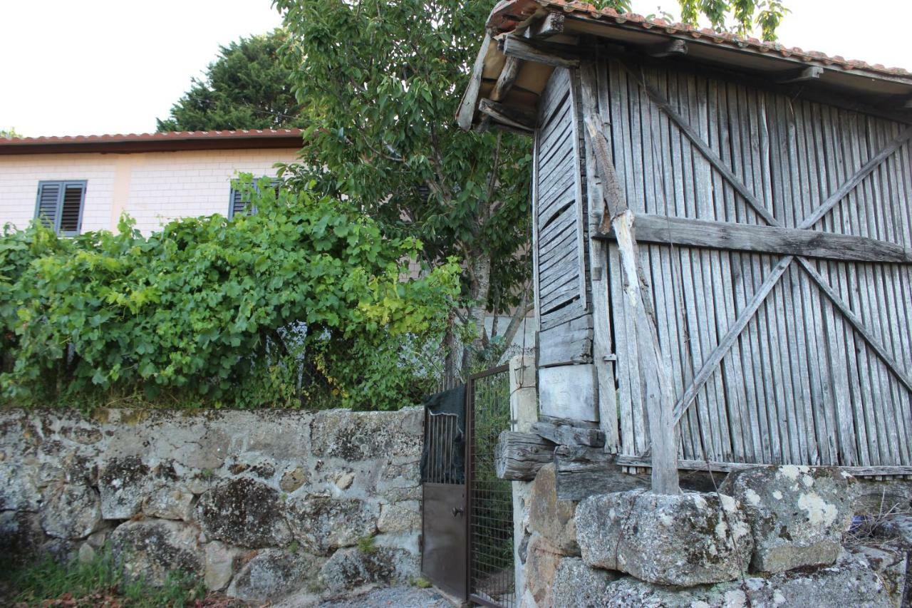 Alojamento Da Ribeirinha Carquere Luaran gambar